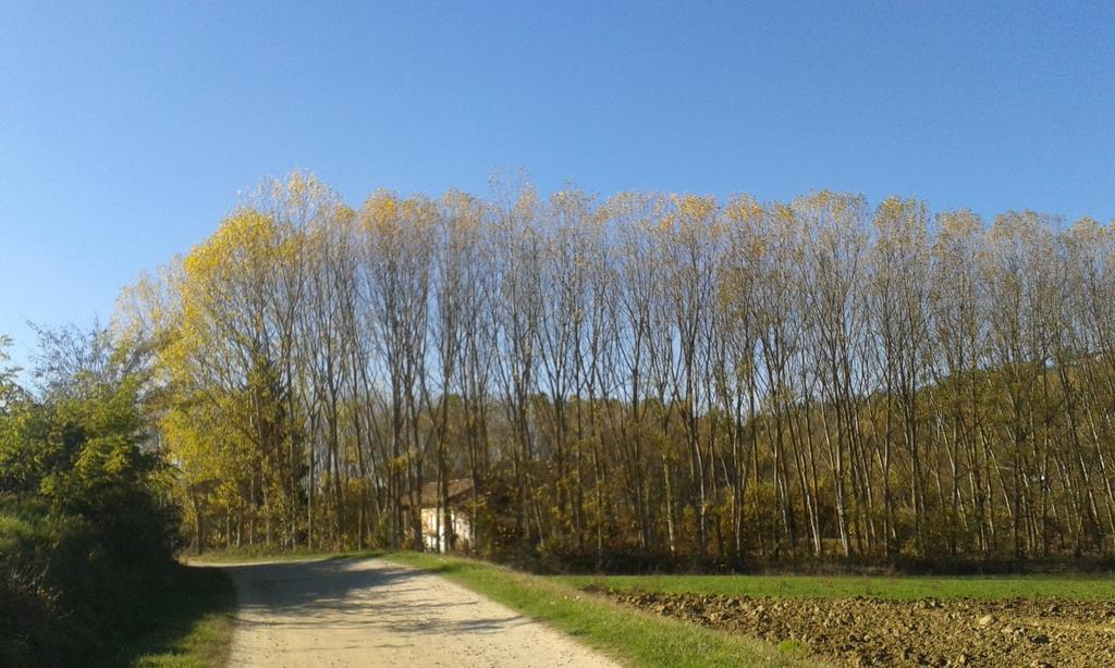 Vista Sul Patrimonio Dell'Unesco Cortiglione Exteriér fotografie